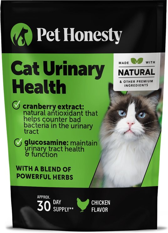 Cat Urinary Tract Kidney Care Free Shipping Photo Inspiration
