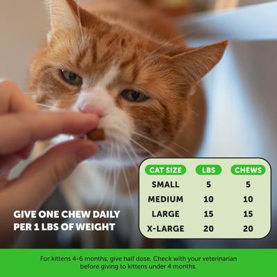 Show full view: Pet Honesty Urinary Tract Health Chicken Flavored Dual Texture Chews with Cranberry for Cats, 3.7-oz pouch slide 7 of 11