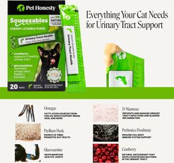 Pet Honesty Urinary Tract Health Squeezables Salmon Flavored Creamy Lickable Puree Supplement for Cats, 20 count slide 2 of 8