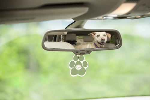 Show full view: Pet House Fresh Citrus Car Air Freshener slide 3 of 7