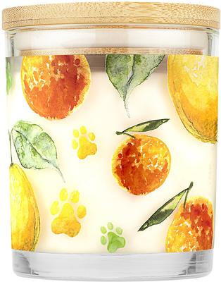 Show full view: Pet House Fresh Citrus Natural Plant-Based Wax Candle, 9-oz jar slide 3 of 5
