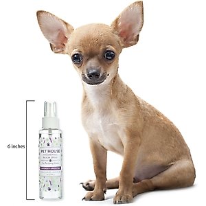 Pet House Lavender Green Tea Freshening Room Spray, 4-fl oz spray