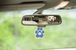 Pet House Lilac Garden Car Air Freshener slide 2 of 5