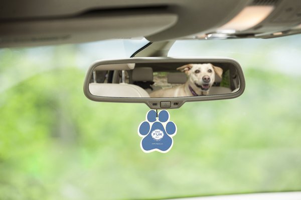Show full view: Pet House Lilac Garden Car Air Freshener slide 2 of 5