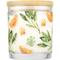Show in main carousel: Pet House Mandarin Sage Natural Plant-Based Wax Candle, 9-oz jar slide 2 of 6