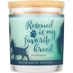 Pet House Ocean Breeze Natural Plant-Based Wax Sentiment Candle