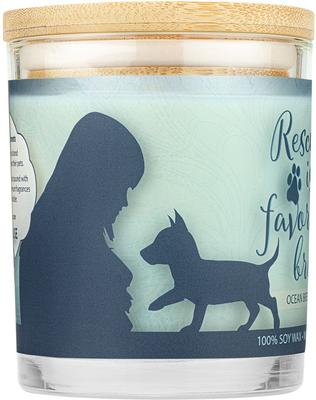 Show full view: Pet House Ocean Breeze Natural Plant-Based Wax Sentiment Candle, 9-oz jar slide 2 of 7