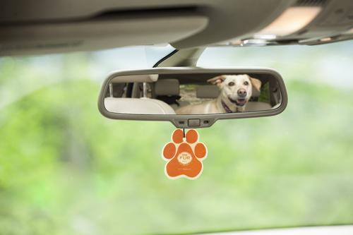 Show full view: Pet House Pina Colada Car Air Freshener slide 3 of 6