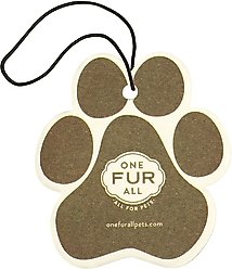 Pet House Pumpkin Spice Car Air Freshener