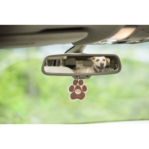 Pet House Pumpkin Spice Car Air Freshener