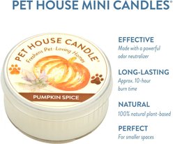 Pet House Pumpkin Spice Natural Plant-Based Mini Candle, 1.5-oz jar slide 2 of 3