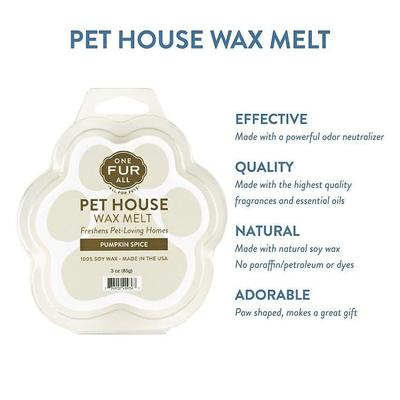 Show full view: Pet House Pumpkin Spice Natural Soy Wax Melt + Electric Wax Warmer slide 4 of 10