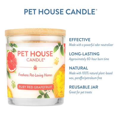 Show full view: Pet House Ruby Red Grapefruit Natural Plant-Based Wax Candle, 9-oz jar slide 4 of 7