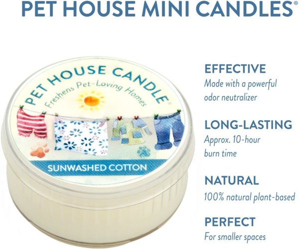Pet House Sunwashed Cotton Natural Plant-Based Mini Candle