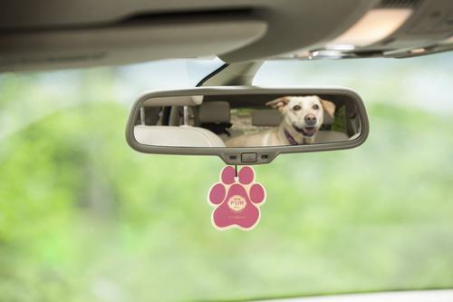 Show full view: Pet House Vanilla Creme Brulee Car Air Freshener slide 2 of 5