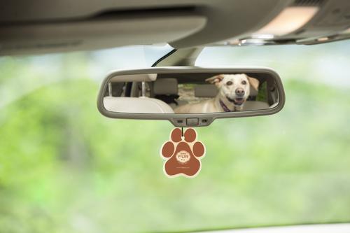 Show full view: Pet House Vanilla Sandalwood Car Air Freshener slide 2 of 5