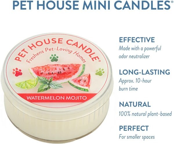 Pet House Watermelon Mojito Natural Plant-Based Mini Candle, 1.5-oz jar