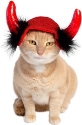 Pet Krewe Cat Devil Red Hat Dog Costume, One Size