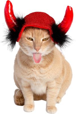 Show full view: Pet Krewe Cat Devil Red Hat Dog Costume, One Size slide 2 of 7