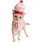 Show in main carousel: Pet Krewe Cupcake Hat Dog Costume slide 1 of 10