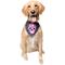 Show in main carousel: Pet Krewe Glow-In-The-Dark Skull Pink & Black Bandana Dog Costume, One Size slide 1 of 6