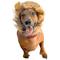 Show in main carousel: Pet Krewe Lion Mane Cat & Small Dog Costume slide 2 of 9