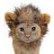 Show in main carousel: Pet Krewe Lion Mane Cat & Small Dog Costume slide 3 of 9