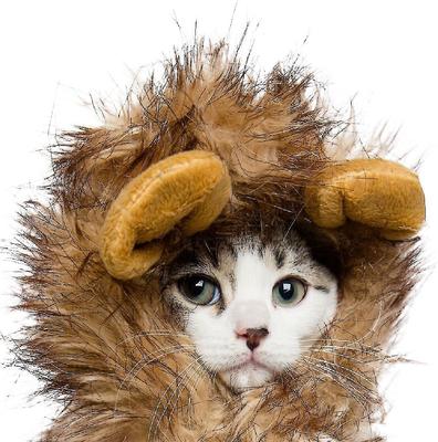 Show full view: Pet Krewe Lion Mane Cat & Small Dog Costume slide 4 of 9