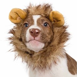 Pet Krewe Lion Mane Dog Costume, Small