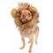 Show in main carousel: Pet Krewe Lion Mane Dog Costume, Small slide 2 of 4