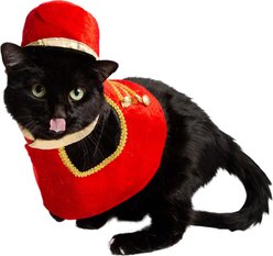 Pet Krewe Nutcracker Soldier Dog Costume, Small/Medium