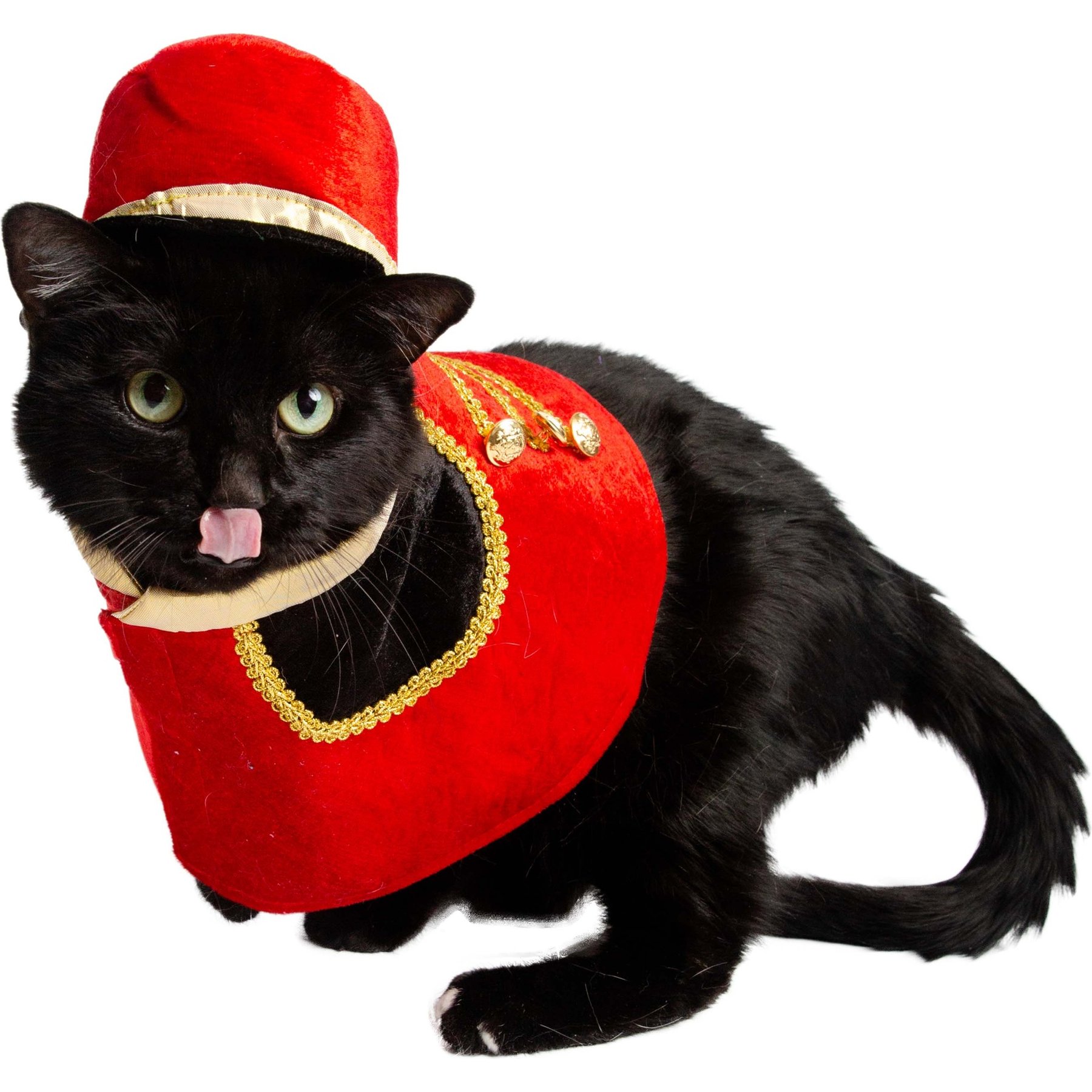 Pet Krewe Nutcracker Soldier Dog Costume, Small/Medium