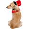 Show in main carousel: Pet Krewe Nutcracker Soldier Dog Costume, Small/Medium slide 5 of 10