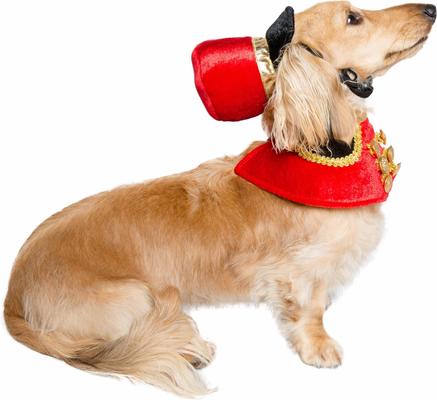 Show full view: Pet Krewe Nutcracker Soldier Dog Costume, Small/Medium slide 3 of 10