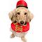 Show in main carousel: Pet Krewe Nutcracker Soldier Dog Costume, Small/Medium slide 2 of 10