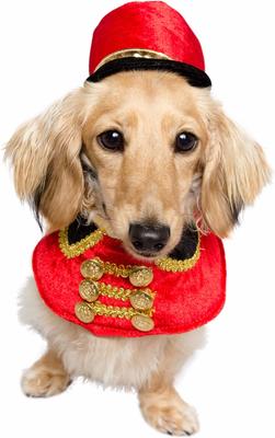 Show full view: Pet Krewe Nutcracker Soldier Dog Costume, Small/Medium slide 2 of 10