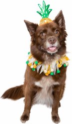 Pet Krewe Pineapple Hat & Collar Set Dog Costume, Large/X-Large