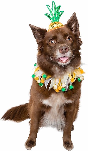 Show full view: Pet Krewe Pineapple Hat & Collar Set Dog Costume, Large/X-Large slide 1 of 6