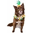 Show in main carousel: Pet Krewe Pineapple Hat & Collar Set Dog Costume, Large/X-Large slide 1 of 6