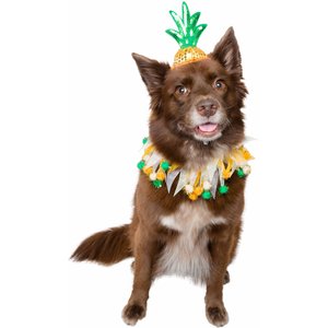 Pet Krewe Pineapple Hat & Collar Set Dog Costume, Large/X-Large