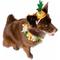 Show in main carousel: Pet Krewe Pineapple Hat & Collar Set Dog Costume, Large/X-Large slide 2 of 6