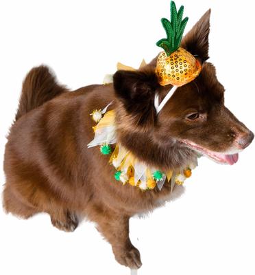 Show full view: Pet Krewe Pineapple Hat & Collar Set Dog Costume, Large/X-Large slide 2 of 6