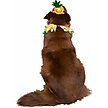 Show in main carousel: Pet Krewe Pineapple Hat & Collar Set Dog Costume, Large/X-Large slide 3 of 6