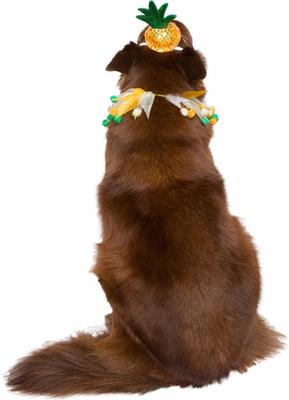 Show full view: Pet Krewe Pineapple Hat & Collar Set Dog Costume, Large/X-Large slide 3 of 6