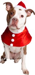 Pet Krewe Santa Hat & Collar Set Dog Costume, Large/X-Large