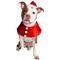 Show in main carousel: Pet Krewe Christmas Santa Hat & Collar Set Dog Costume, Large/X-Large slide 1 of 7