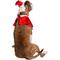 Show in main carousel: Pet Krewe Christmas Santa Hat & Collar Set Dog Costume, Large/X-Large slide 5 of 7