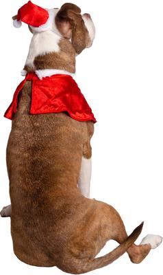 Show full view: Pet Krewe Christmas Santa Hat & Collar Set Dog Costume, Large/X-Large slide 5 of 7