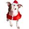 Show in main carousel: Pet Krewe Christmas Santa Hat & Collar Set Dog Costume, Large/X-Large slide 4 of 7