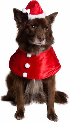 Show full view: Pet Krewe Christmas Santa Hat & Collar Set Dog Costume, Large/X-Large slide 2 of 7